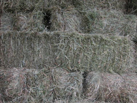 When I close my eyes, this is what I see