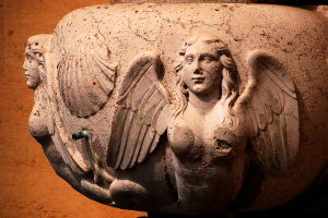 harpy