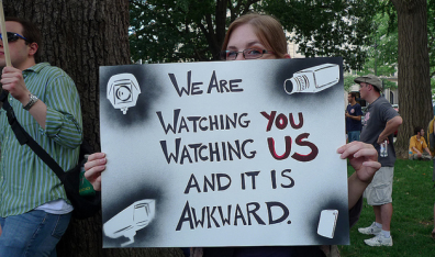 domestic_surveillance