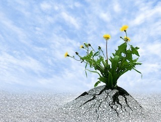 persist