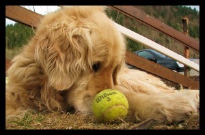eye on the ball