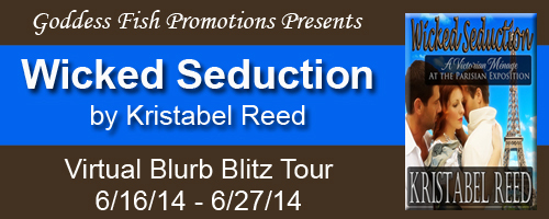 Blog Tour for Wicked Seduction Menage