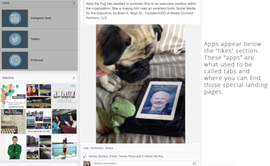 FB image 3