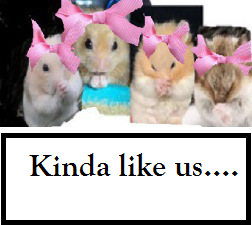 untitledlllllhhhhhhjjjj