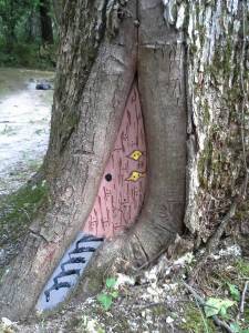 Gnome door2