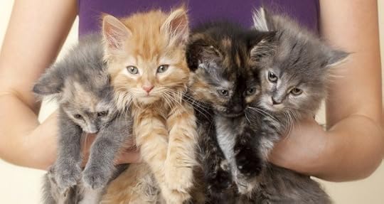 I wish I could give birth to these cute guys. http://www.bluntmoms.com/birth-a-litter-of-kittens-instead-cats/