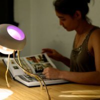 A bright task light + customizable ambient light