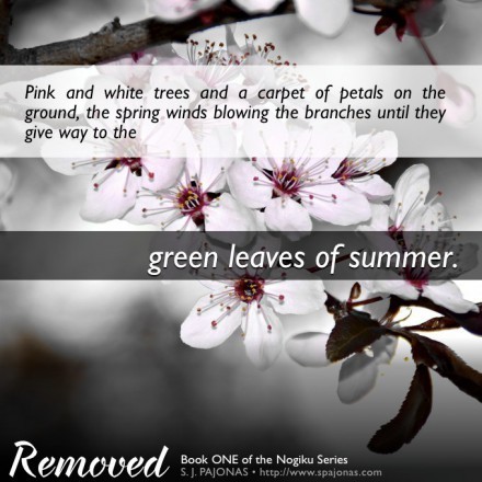 REMOVED_promo2_03