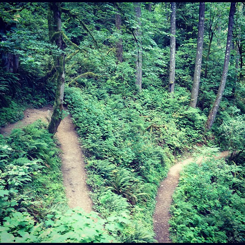 A hike in gorge. Winding.