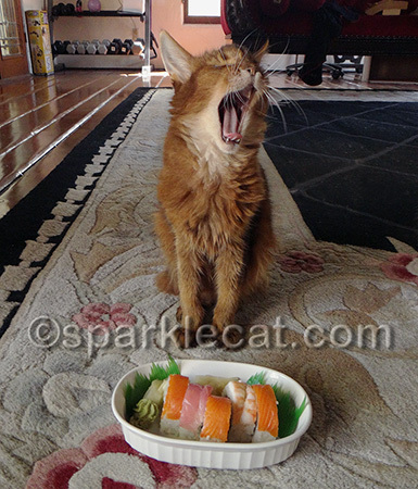 I almost fell asleep in my sushi