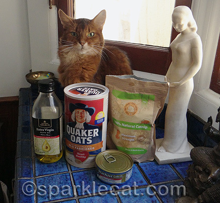 I'm just waiting for my human to mess something up
