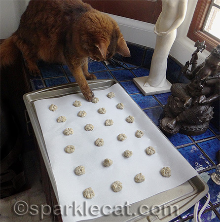 What, you think I was trying to steal one?