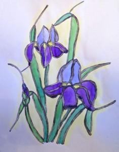 watercolor-20140205-iris