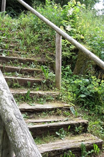 Outdoor stairs at the Museumsdorf Bayerischer Wald, Tittling, Germany