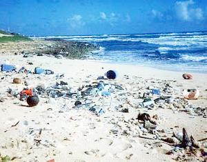 20040330_debris