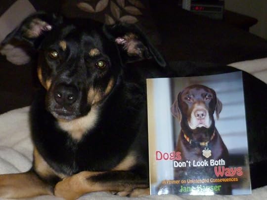  photo P1000943_zps7c114932.jpg