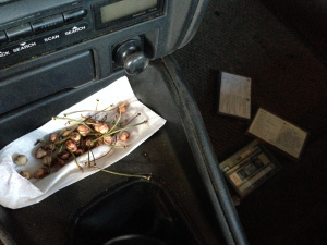 The remnants of the road trip