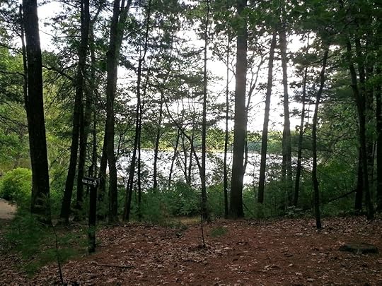 Walden Pond from the original site of Thoreau's cabin