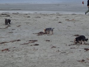 DSCN0574