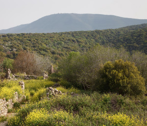 Bar'am_view_MtMeron_Apr