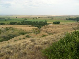 Reno defense site, where more than sixty were wounded.