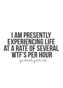 Experiencing life at a rate of Several WTF's per hour..