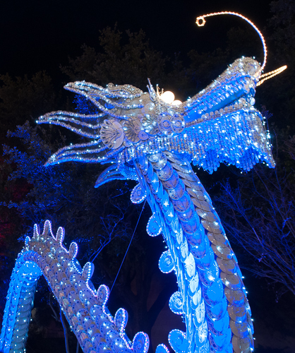 Dishware Dragon