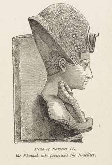 Head_of_Rameses_II.,_the_Pharaoh_who_persecuted_the_Israelites._(1884)_-_TIMEA