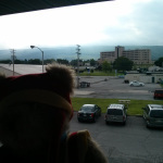Tristan taking in the morning view