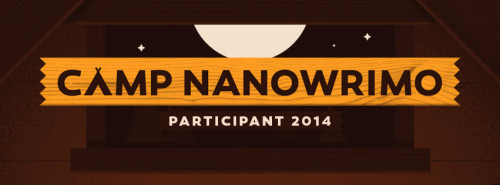 2014-Camp-Nano