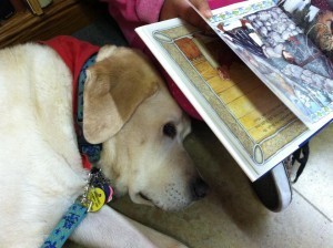 603986_377554449000333_815996728_n