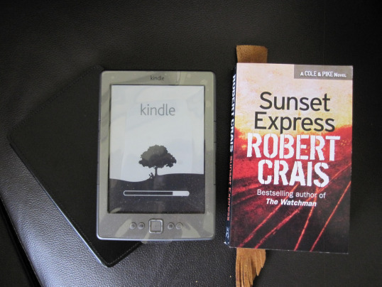 E-Readers Are Cool