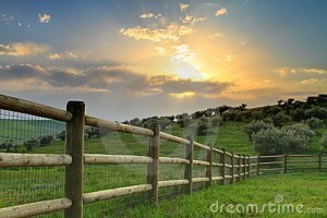 ranch-sunset-19831387