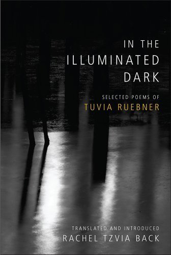 intheilluminateddarkbookcover