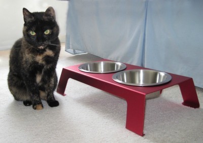 elevated_cat_feeder