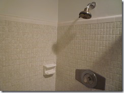 Shower Wall