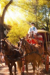 Horse drawn carriage in Williamsburg