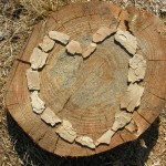 SANYO DIGITAL CAMERA