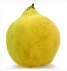 quince