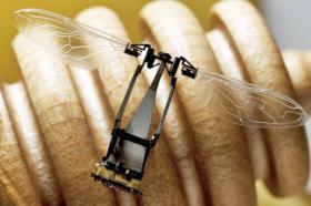 robobee