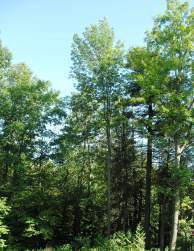 ??????????????????????