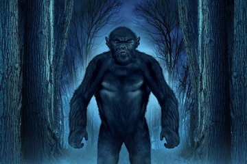an illustration of a forest beast