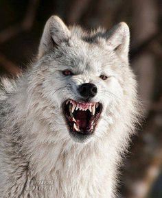 38a795fa605d27d38620603422ebec2c