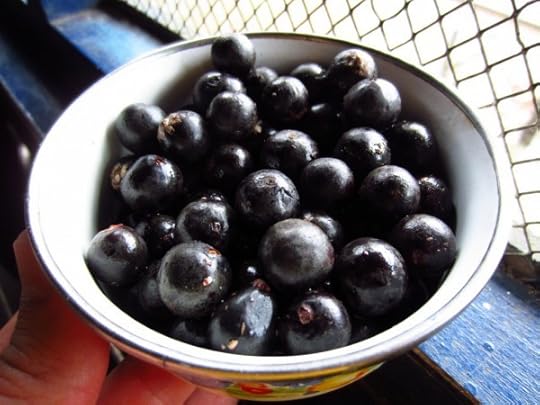 Açaí