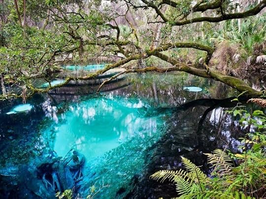 Juniper Springs Recreation Area 