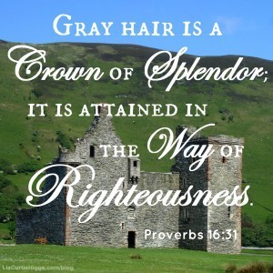 Proverbs 16:31 on Pinterest