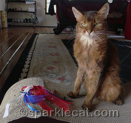 You expect me to wear this frivolity?