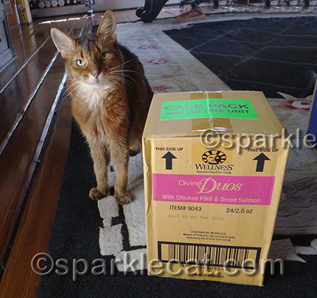 This box is as big as me!