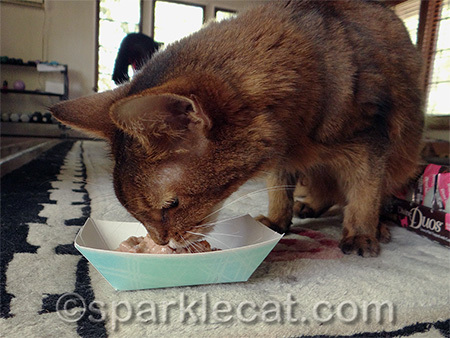 Of course I licked the gravy first - that's the best part!
