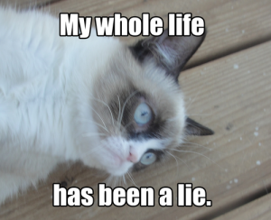 grumpy-cat-meme-3